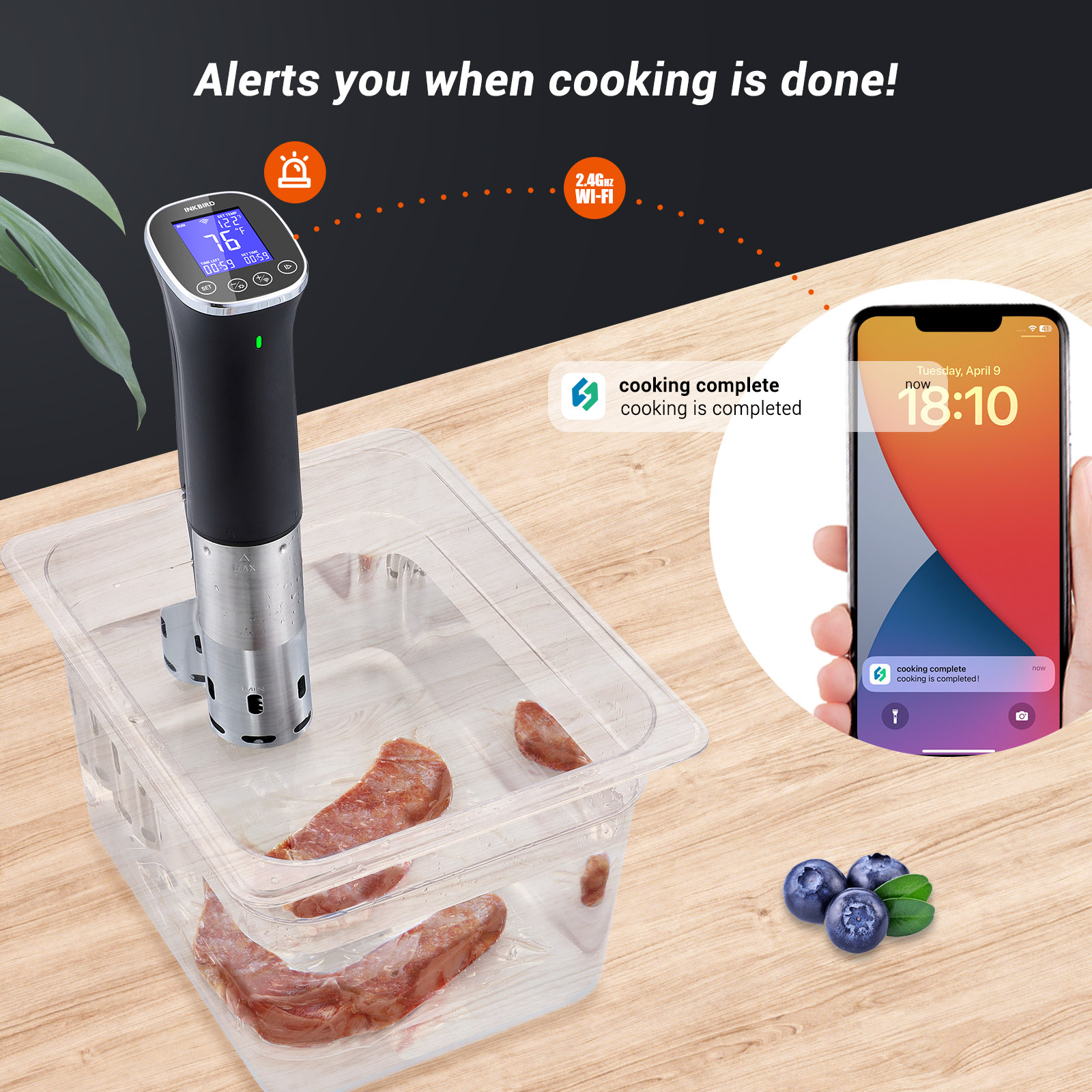 INKBIRD WiFi Vacuum Sous Vide  - Sous Vide Immersion Circulator Wifi recension och pris
