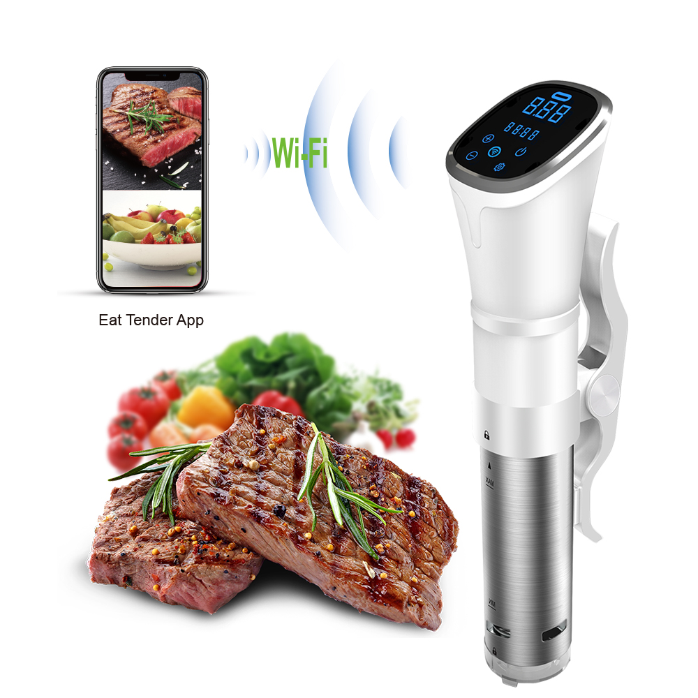 2025 NEW IPX7 Waterproof Elect - Sous Vide Immersion Circulator Wifi recension och pris