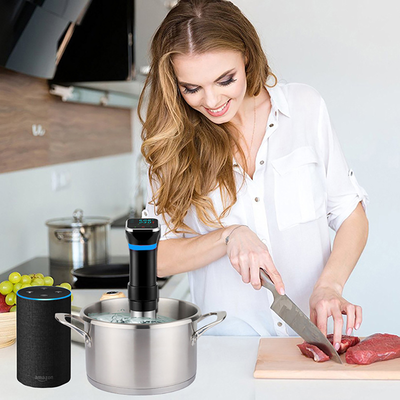 Sous Vide Precision Cooker 110 - Sous Vide Precision Cooker 1100W recension och pris
